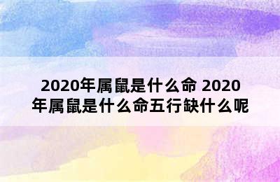 2020年属鼠是什么命 2020年属鼠是什么命五行缺什么呢